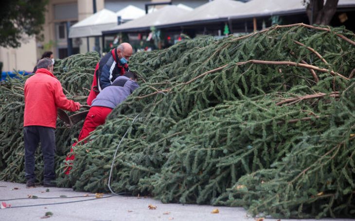 Πλατεία Αριστοτέλους: Θα στηθεί χριστουγεννιάτικο δέντρο 18 μέτρων