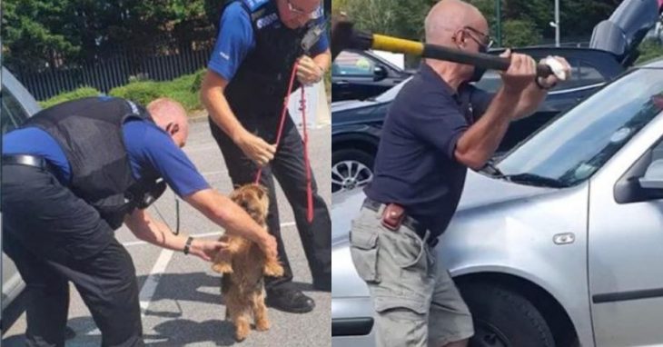 Διάσωση σκύλου: Άντρας έσπασε παράθυρο αμαξιού για να σώσει σκυλάκι