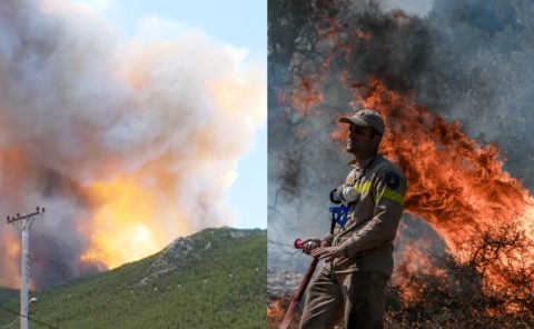 Φωτιά στα Βίλια: Βίντεο ντοκουμέντο από το πως ξεκίνησε η φωτιά