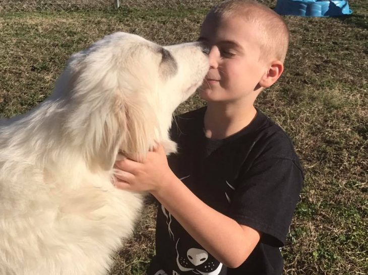 Αγοράκι 7 ετών έσωσε πάνω από 1.400 Σκυλιά και ανακηρύχτηκε ως «Παιδί της Χρονιάς»