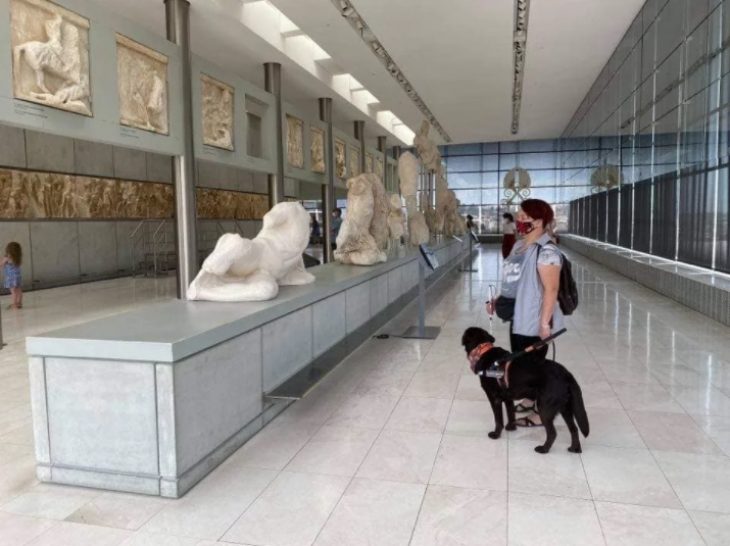 Ιωάννα-Μαρία Γκέρτσου: Τυφλώθηκε στη θερμοκοιτίδα, σπούδασε ψυχολογία και ίδρυσε την πρώτη σχολή για σκύλους-οδηγούς τυφλών στην Ελλάδα