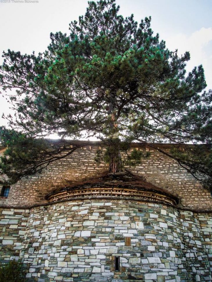 Γρεβενά: 100 χρονών δέντρο μεγαλώνει μέσα σε εκκλησία