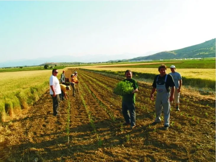 “Τα ελληνόπουλα να πάνε να δουλέψουν στα χωράφια – Δεν είναι ντροπή, ντροπή είναι τα επιδόματα”