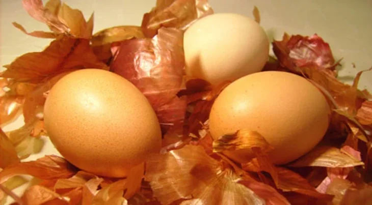 Όπως στα παλιά τα χρόνια: Οι 4 οικολογικοί και παραδοσιακοί τρόποι για να βάψετε τα Πασχαλινά αυγά